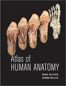 knut miller atlas of anatomy published date